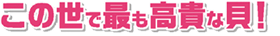 この世で最も高貴な貝!