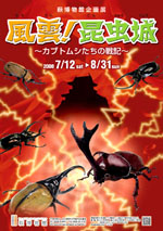 Miyamoto Japanese Flier