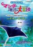 Manta Japanese Flier