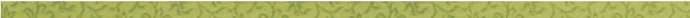 罫線