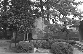 019.jpg 019.jpg