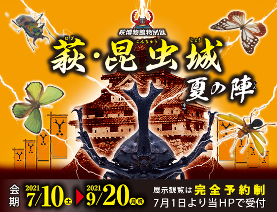 夏の特別展