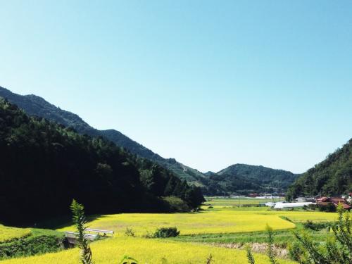 三見の田園風景