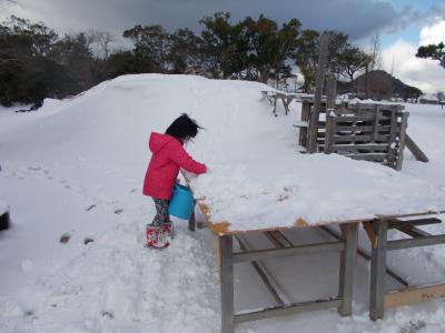 雪