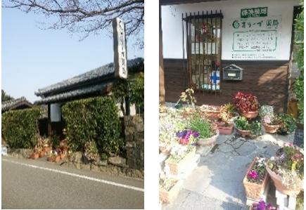 オリーブ薬局