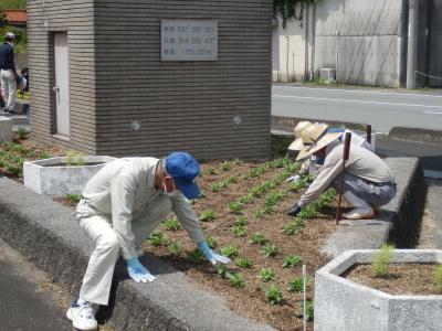 植栽作業