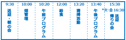 スケジュール