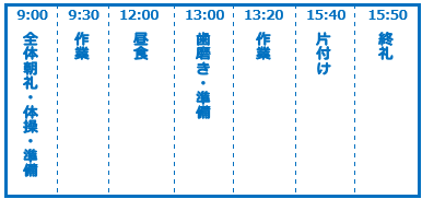 スケジュール