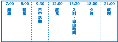 スケジュール