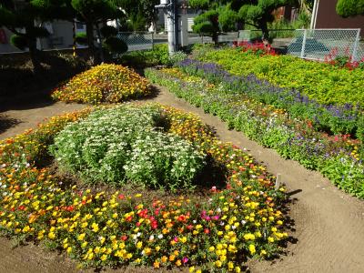 白水会館・しらみずクラブ