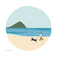 菊ヶ浜の風景