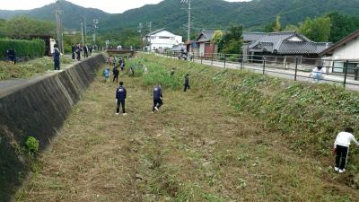 河川海岸一斉清掃の写真1