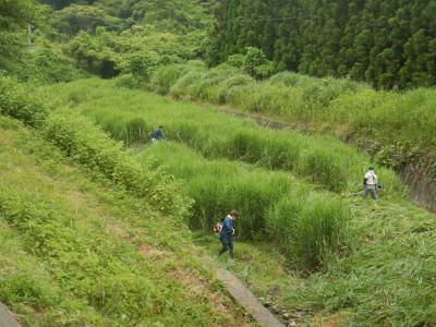 河川海岸一斉清掃の写真2