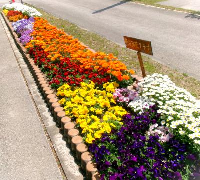河添花クラブ