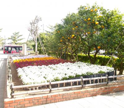 市民館横