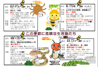 夏から夏の危険生物