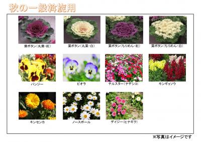花の種類