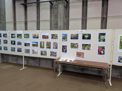 作品展②