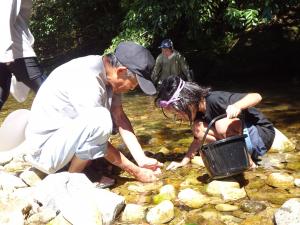 水辺の生き物