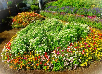 白水会館・しらみずクラブ