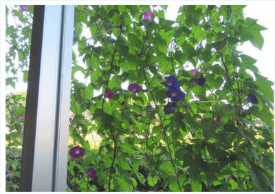 須佐総合事務所③