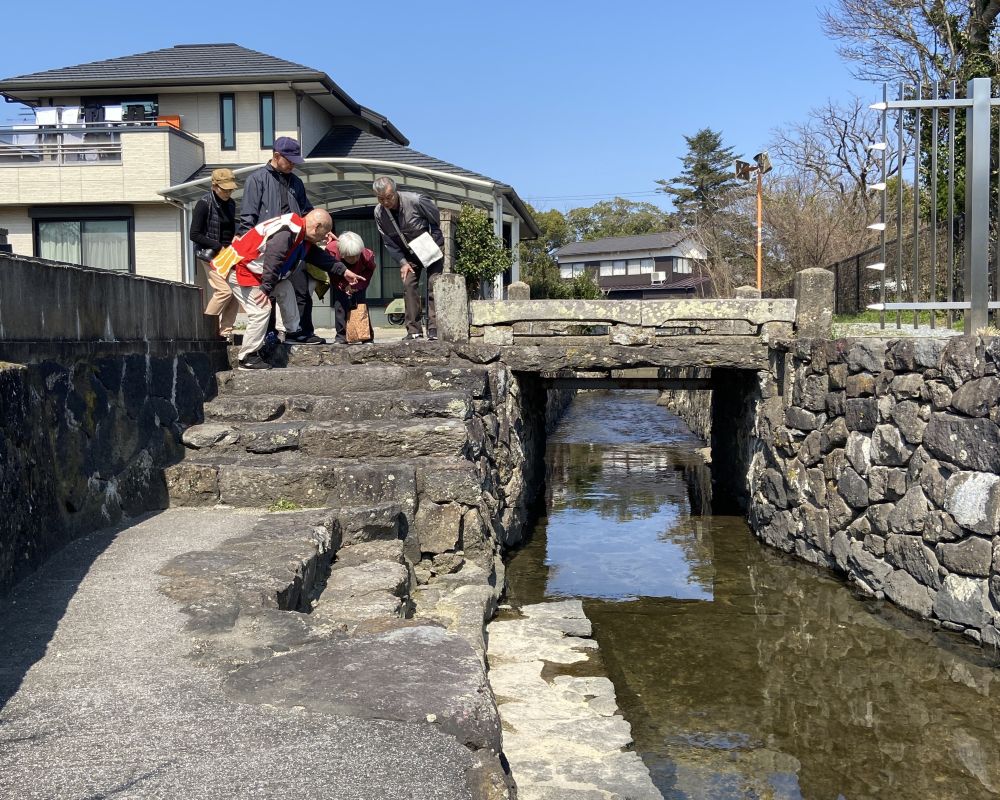 藍場川とハトバ