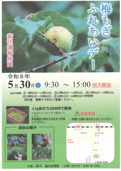 梅もぎふれあいデーチラシ