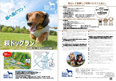 ドックラン