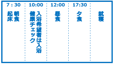 スケジュール