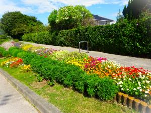 河添花クラブ