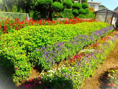 白水会館・しらみずクラブ