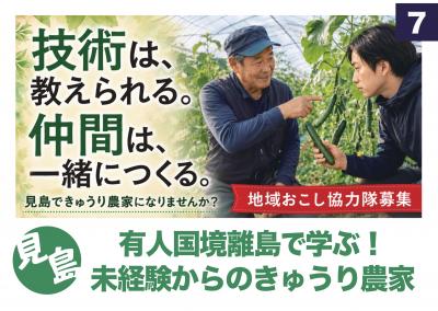 きゅうり