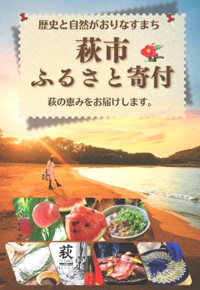 萩市ふるさと納税カタログ