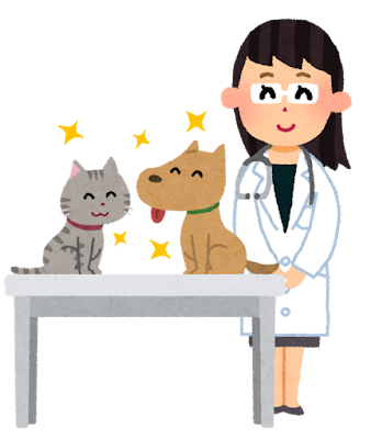 犬の飼い方