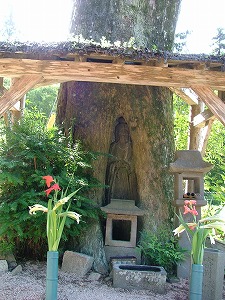 立木薬師如来像（耳の薬師様）