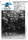 萩ネットワーク　2005年3月　第62号