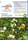 萩ネットワーク　2012年05月　第105号