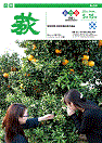 市報 萩 表紙