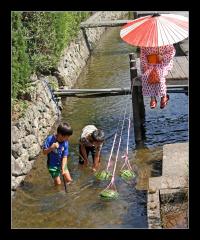 萩産業遺産賞「藍場川の夏」