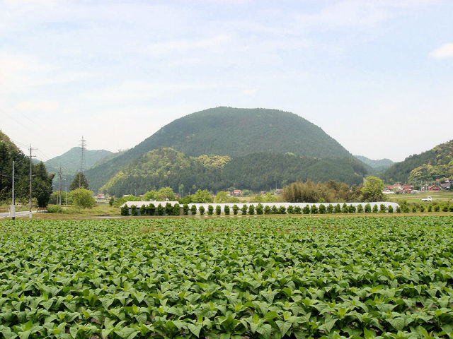 福栄鍋山