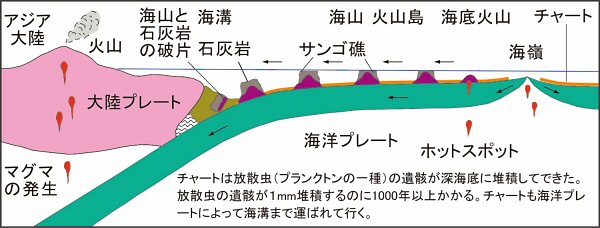 火山島と珊瑚礁の一生を現した画像