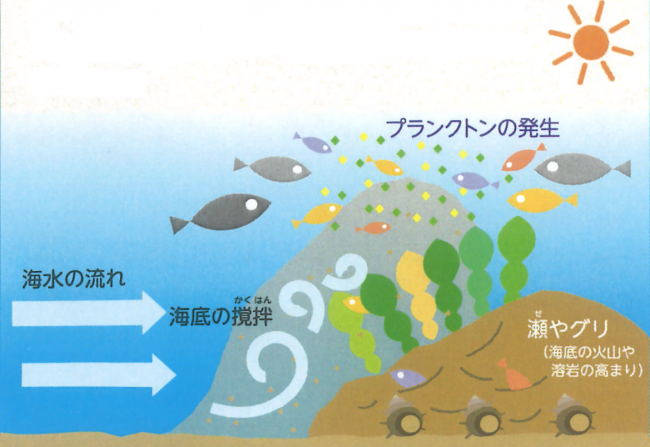 火山のめぐみと萩の海産物