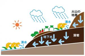 溶岩と農業
