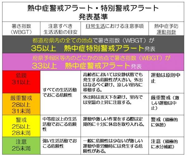 発表基準