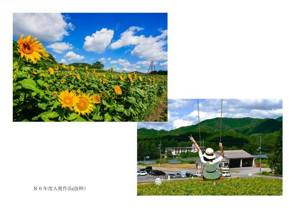 ひまわり写真作品