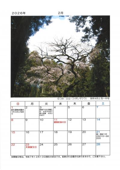 ２０２６年　萩の桜カレンダー　２月　むつみ：辻山（シダレザクラ）
