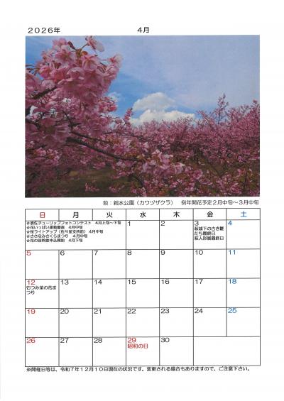 ２０２６年　萩の桜カレンダー　４月　萩：親水公園（カワヅザクラ）
