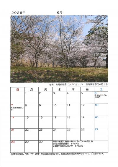 ２０２６年　萩の桜カレンダー　６月　福栄：紫福楠桜園（ソメイヨシノ）