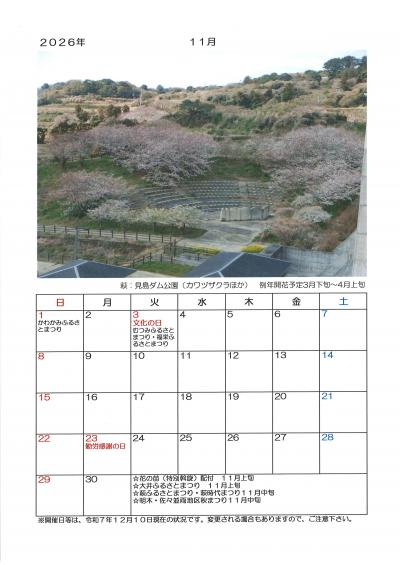 ２０２６年　萩の桜カレンダー　１１月　萩:見島ダム公園（カワヅザクラほか）