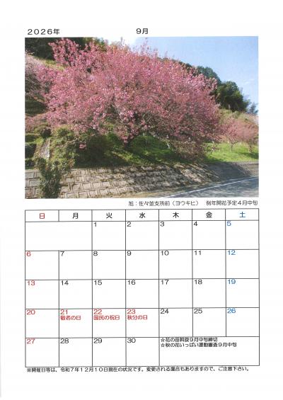２０２６年　萩の桜カレンダー　９月　旭：佐々並支所前（ヨウキヒ）